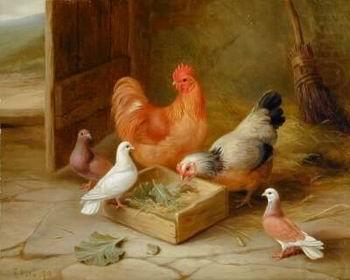 unknow artist Cocks 107 china oil painting image